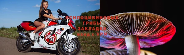 ГАЛЛЮЦИНОГЕННЫЕ ГРИБЫ Алзамай