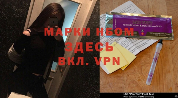 ГАЛЛЮЦИНОГЕННЫЕ ГРИБЫ Алзамай